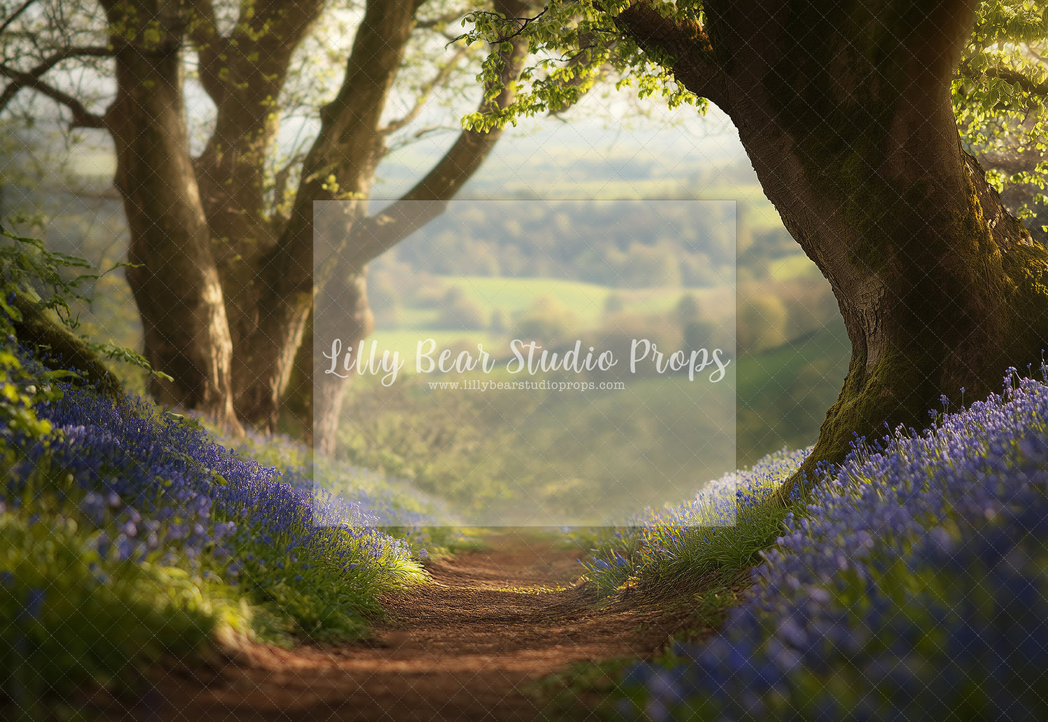 Forest Path to the Field - TESTER