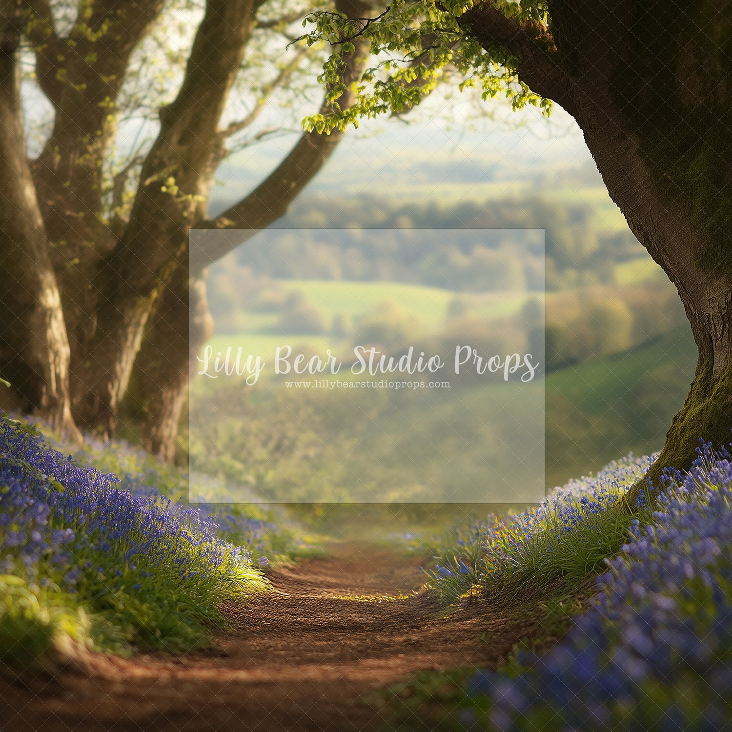 Forest Path to the Field - TESTER