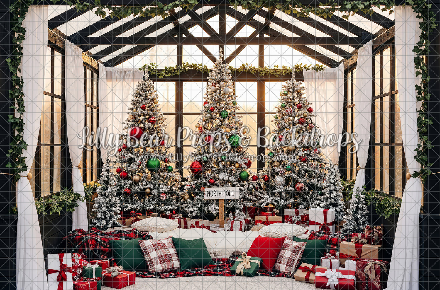 Glasshouse Christmas Morning