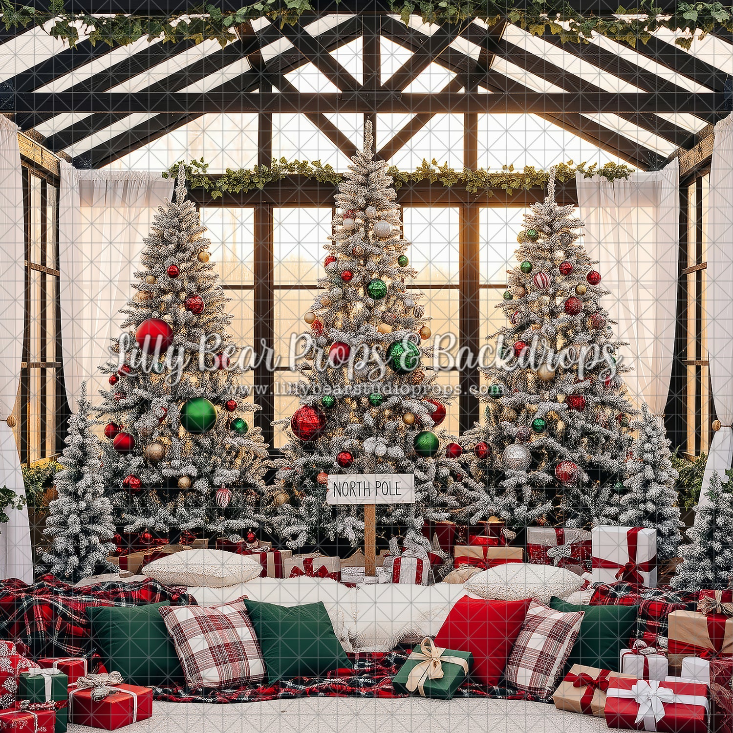 Glasshouse Christmas Morning