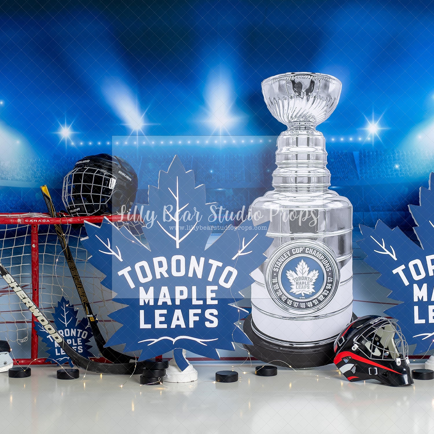 Go Leafs Go-cake