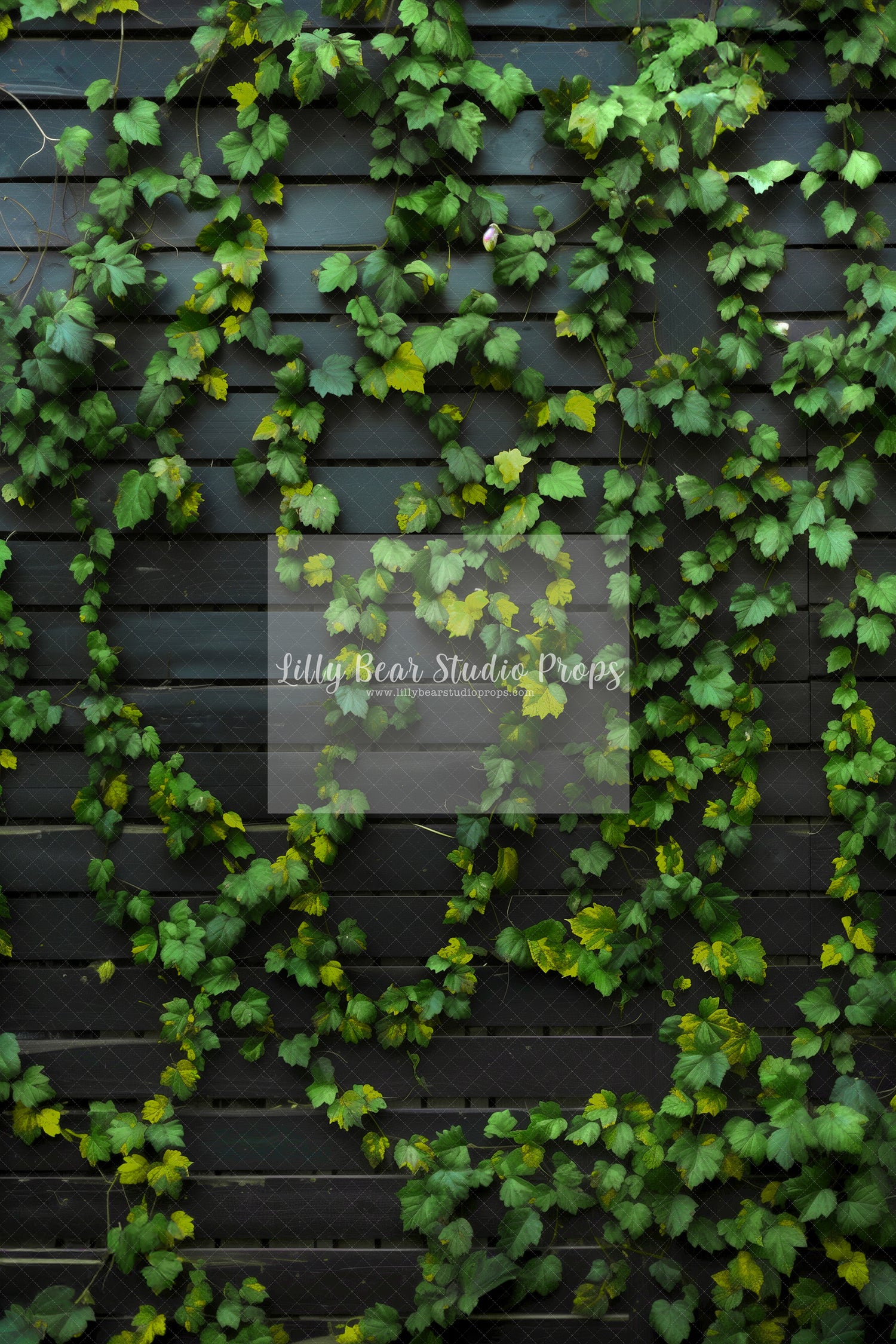 Green Vines Black Panel Wall-Sweep Options