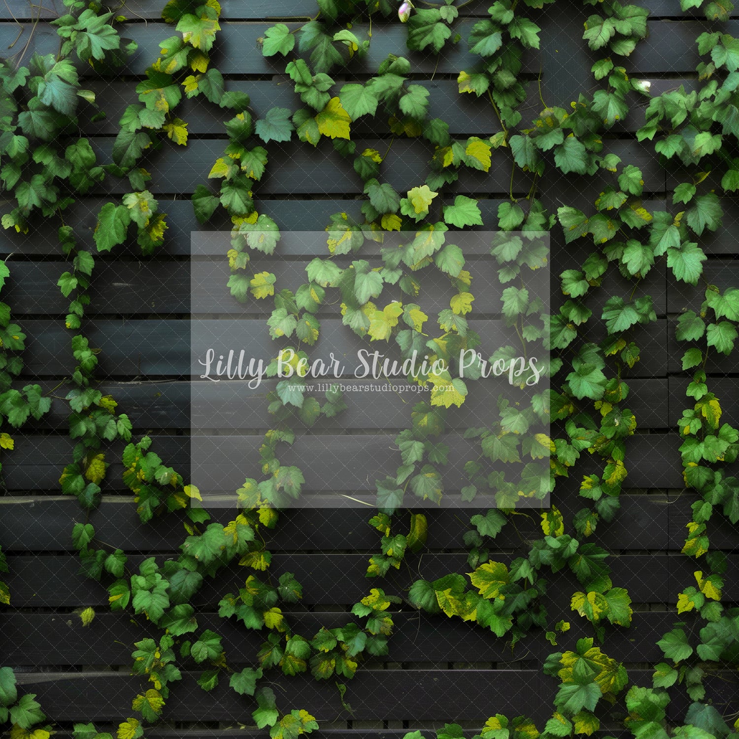Green Vines Black Panel Wall-Sweep Options
