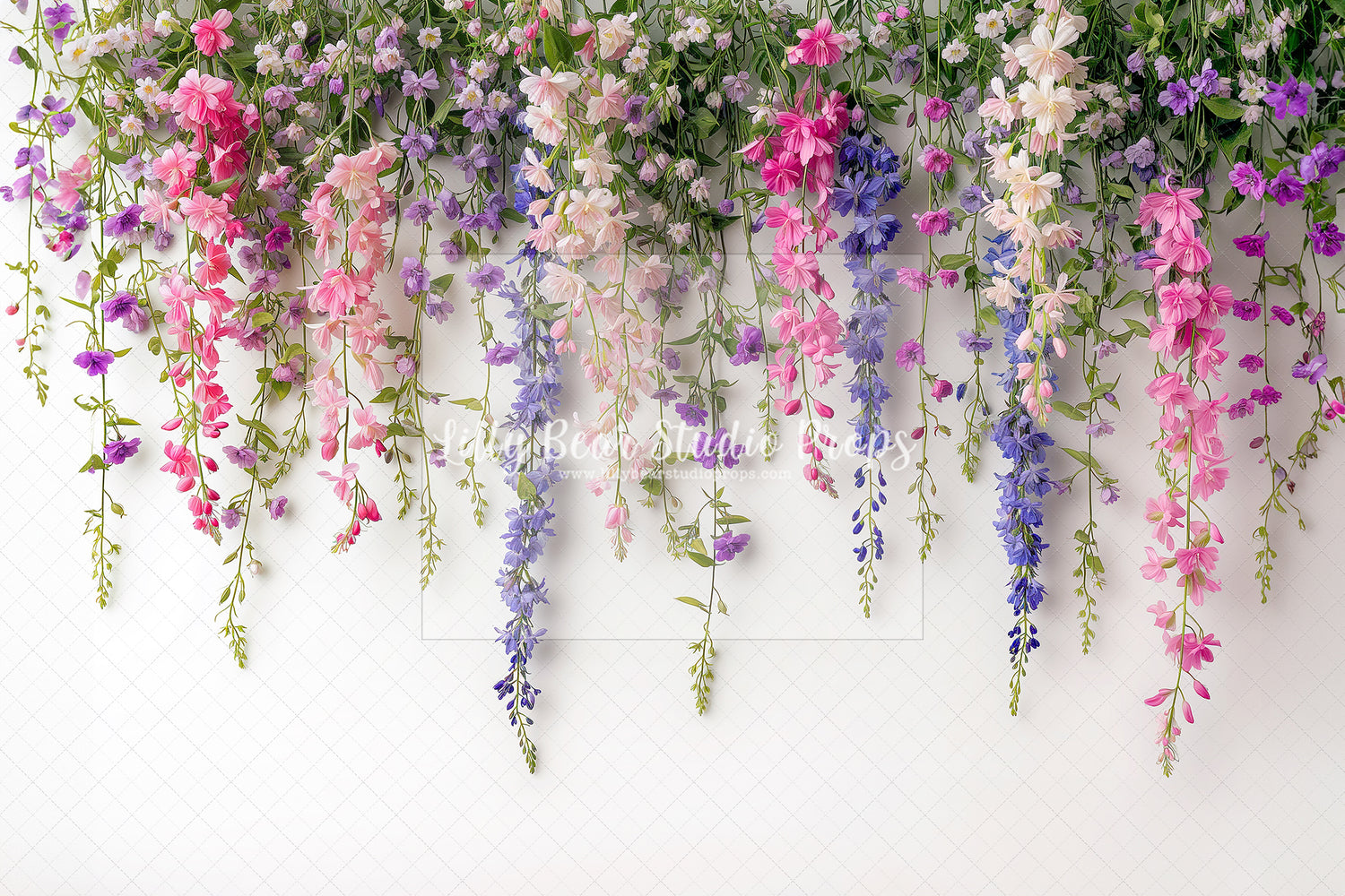 Hanging Wisteria