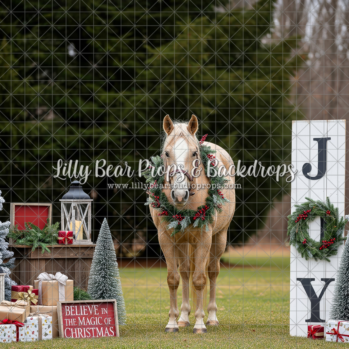 Jingle Pasture Portrait
