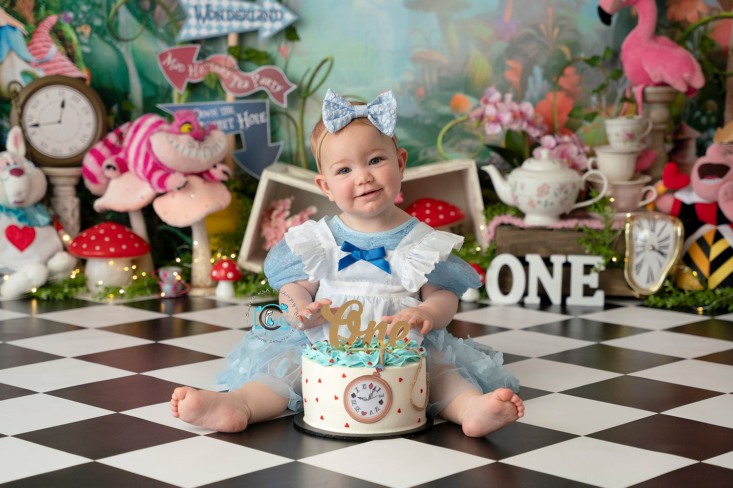 Alice Goes to Wonderland