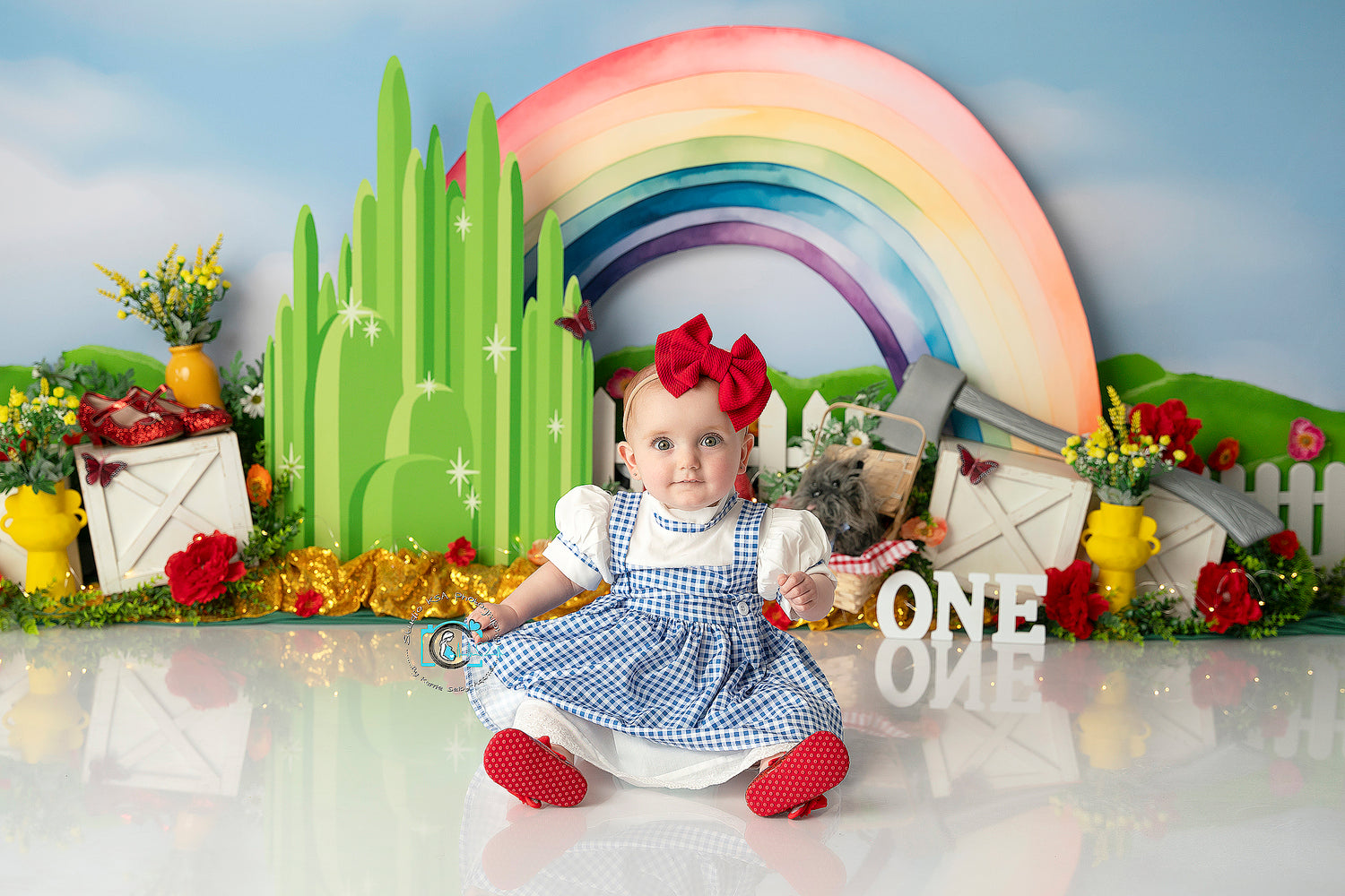 Dorothy goes to the Emerald City