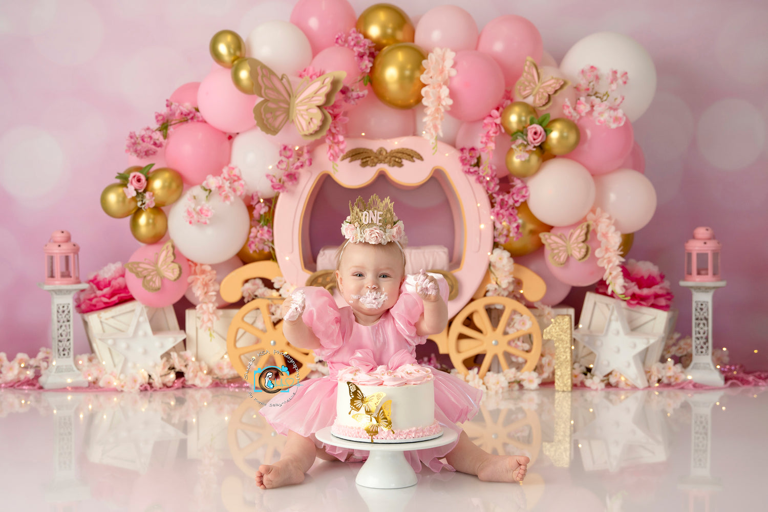 Princess Carriage and Butterflies