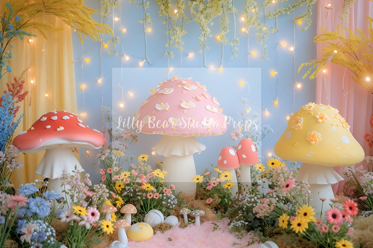 Little Mushroom Garden (3)