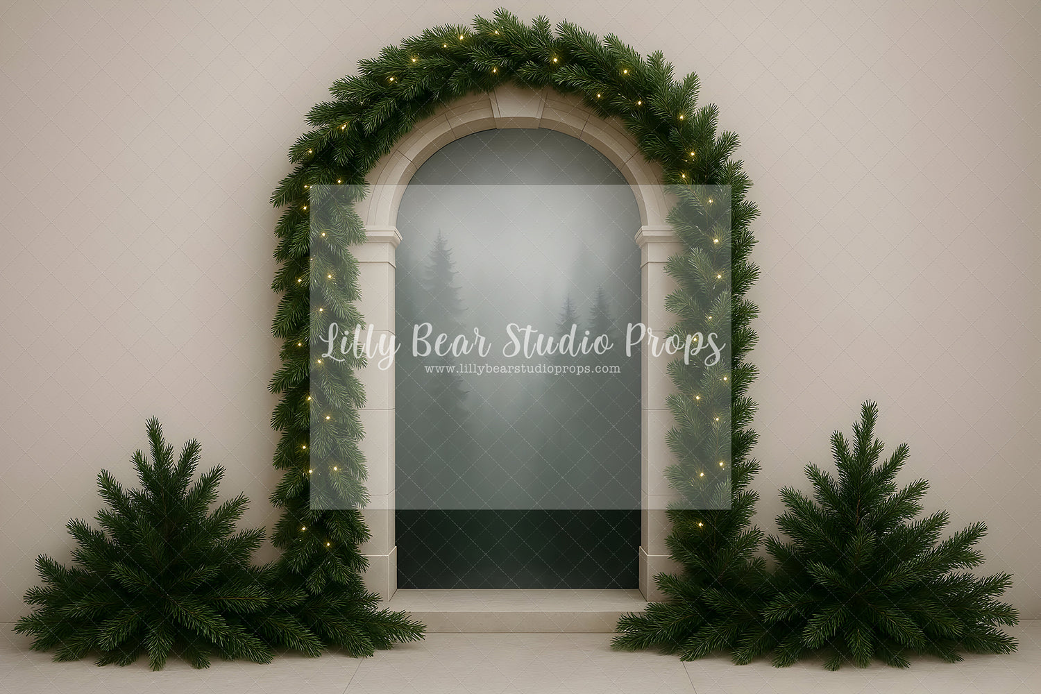 Modern Winter Entry