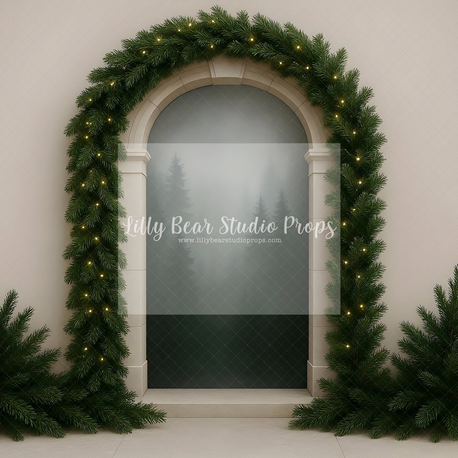 Modern Winter Entry