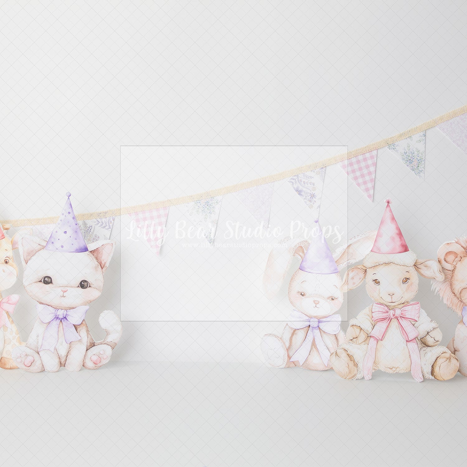 My Little Friends Party