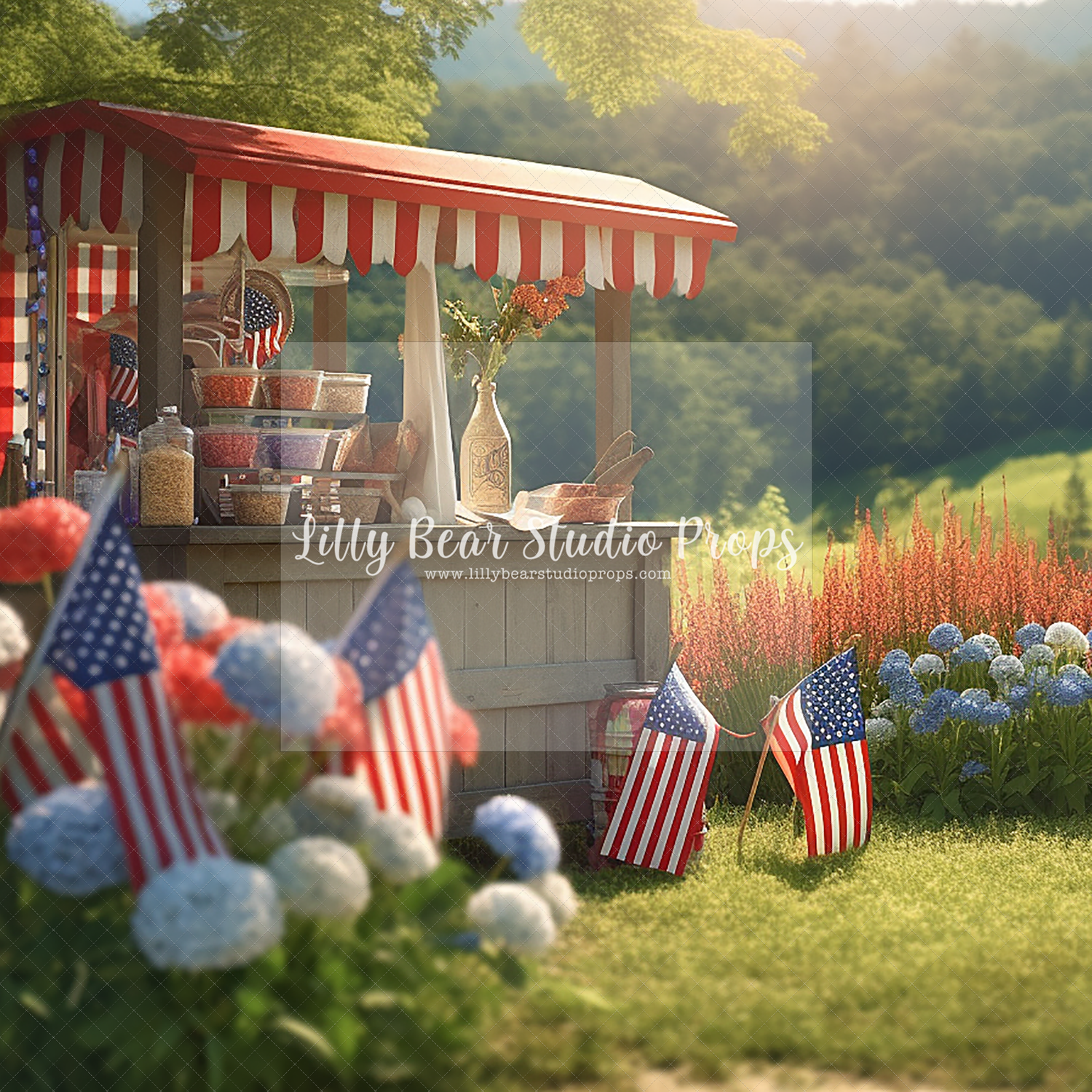 Patriotic Picnic