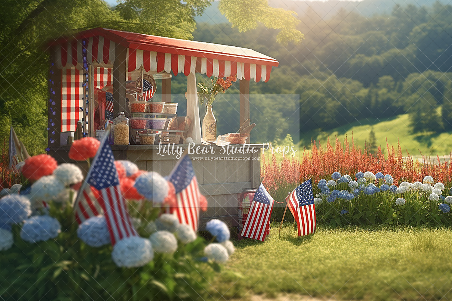 Patriotic Picnic