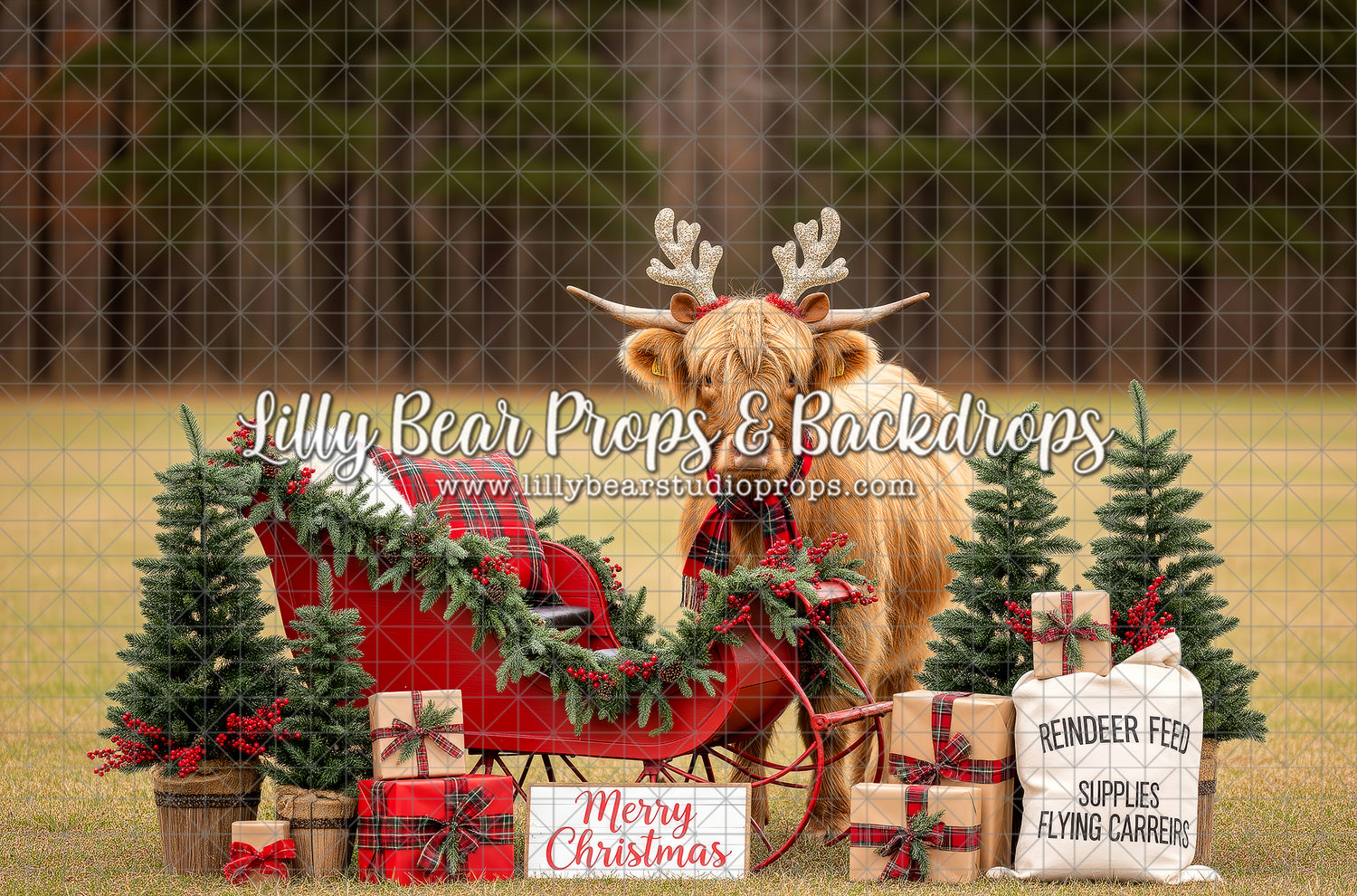 Reindeer Ridge Setup