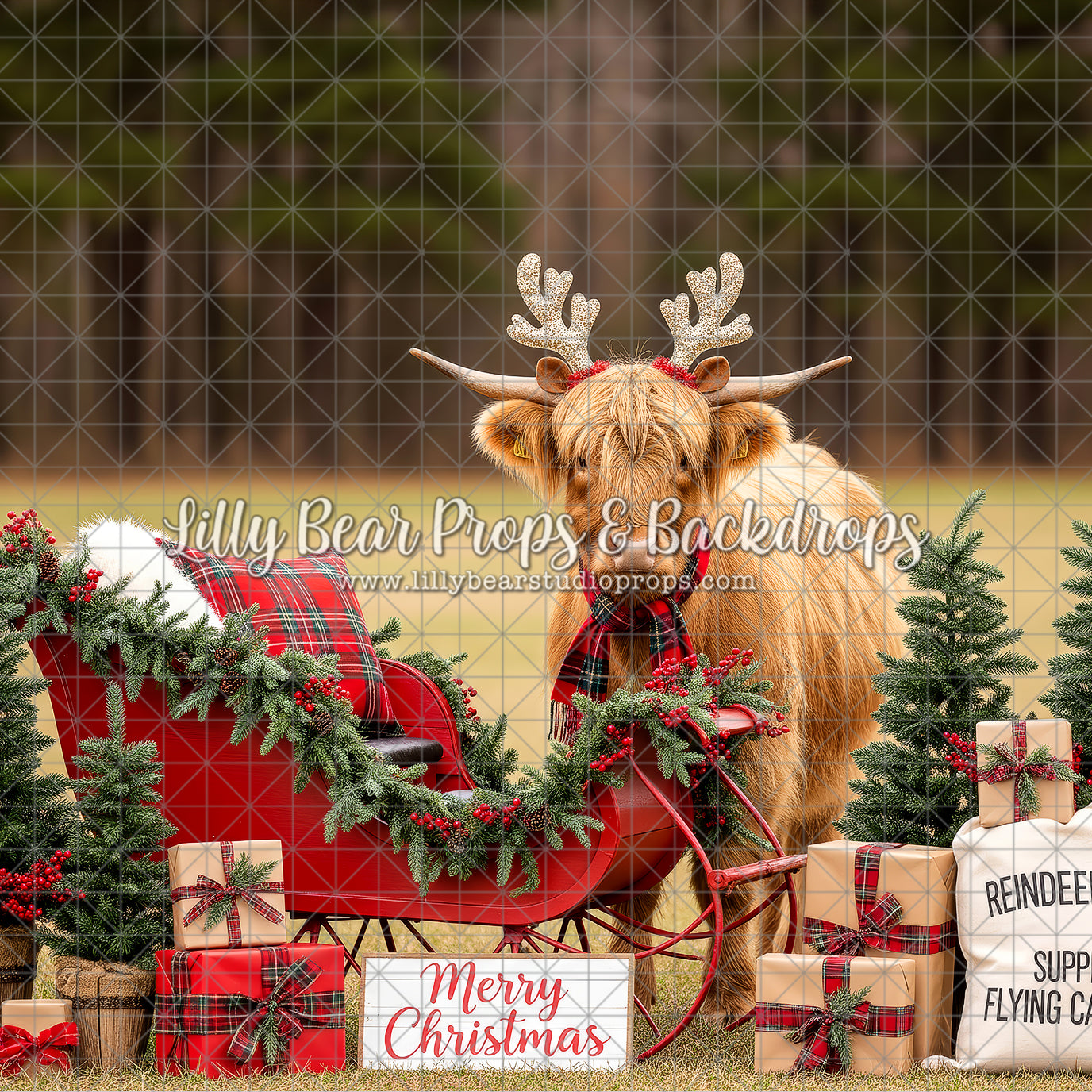 Reindeer Ridge Setup