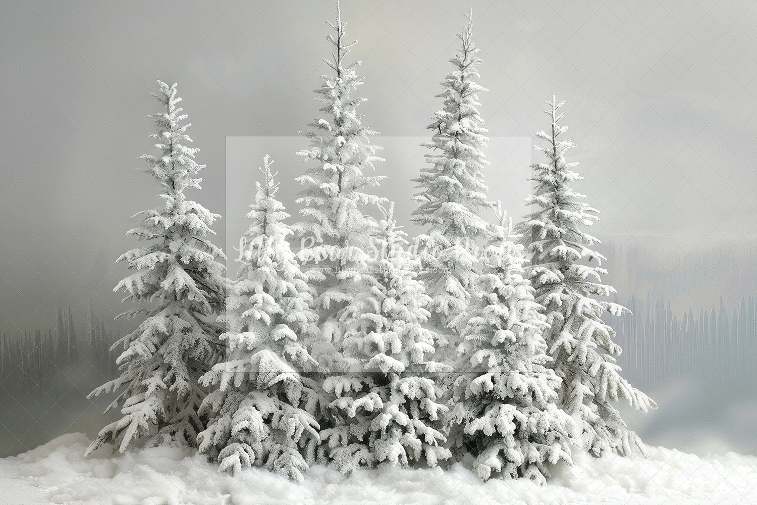 Snow Brushed Trees