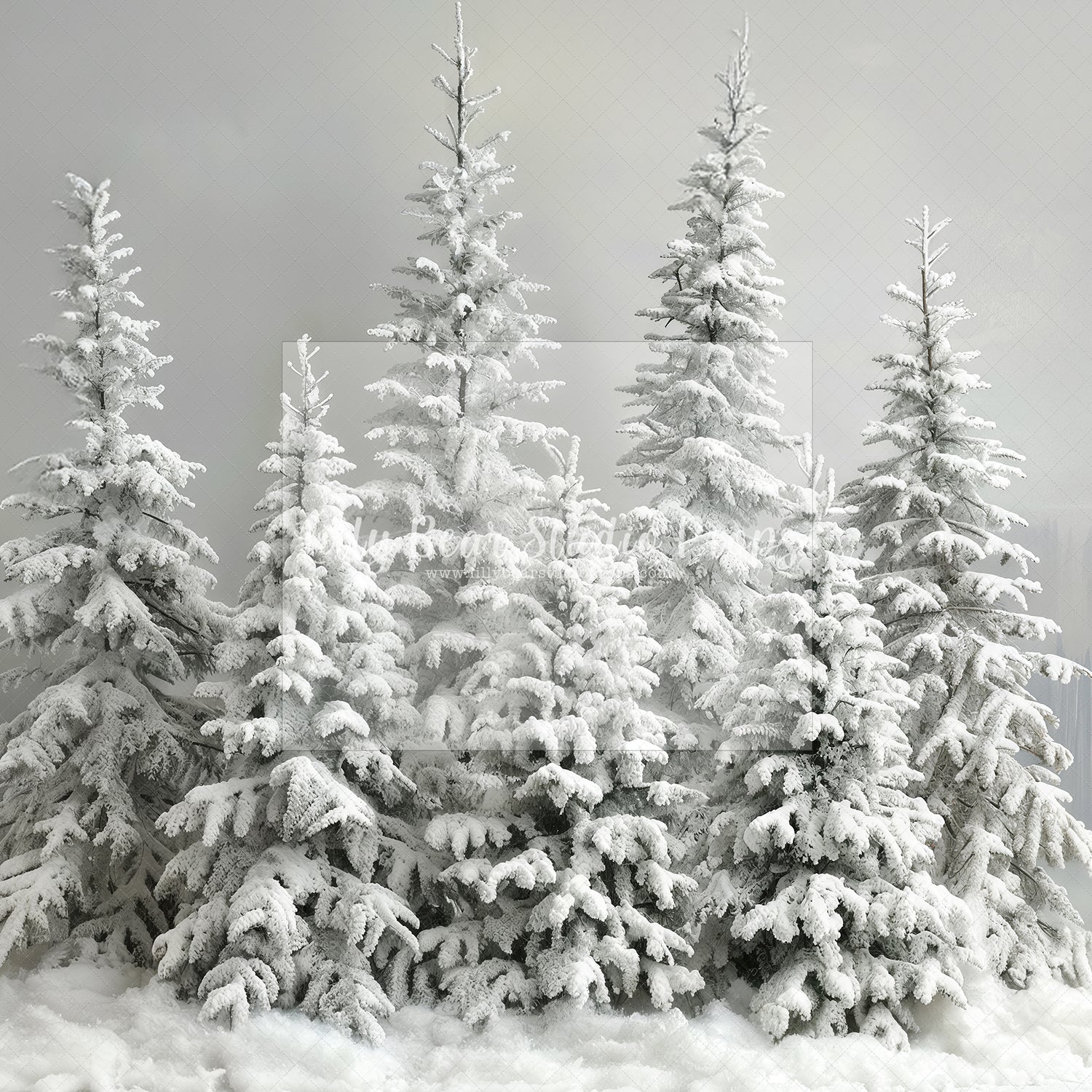 Snow Brushed Trees