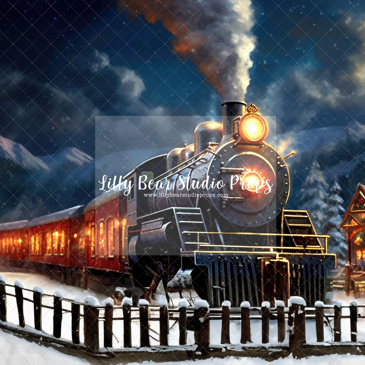 Snow Train