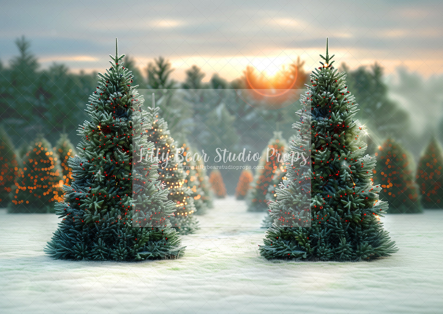 Snowy Dawn Christmas Trees