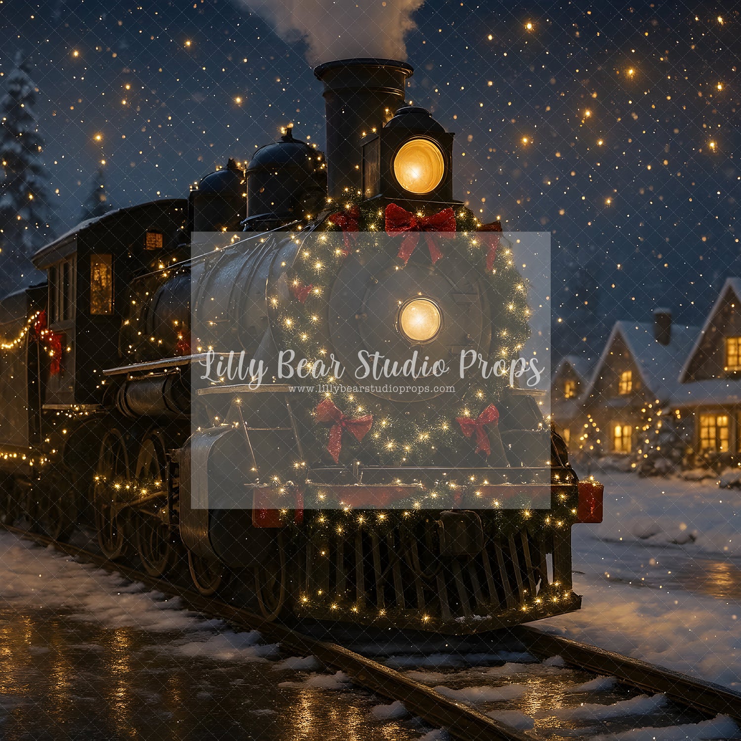 Snowy Holiday Railway