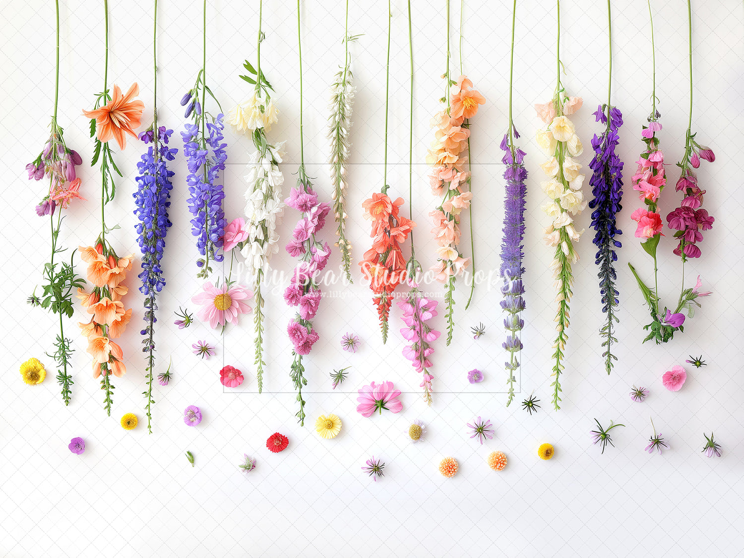 Spring Flowers on White