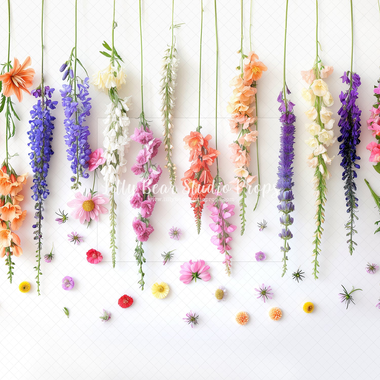 Spring Flowers on White