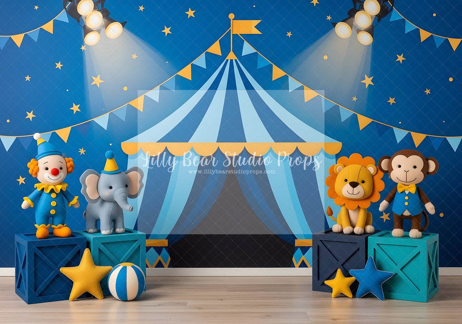 Starlight Circus Show