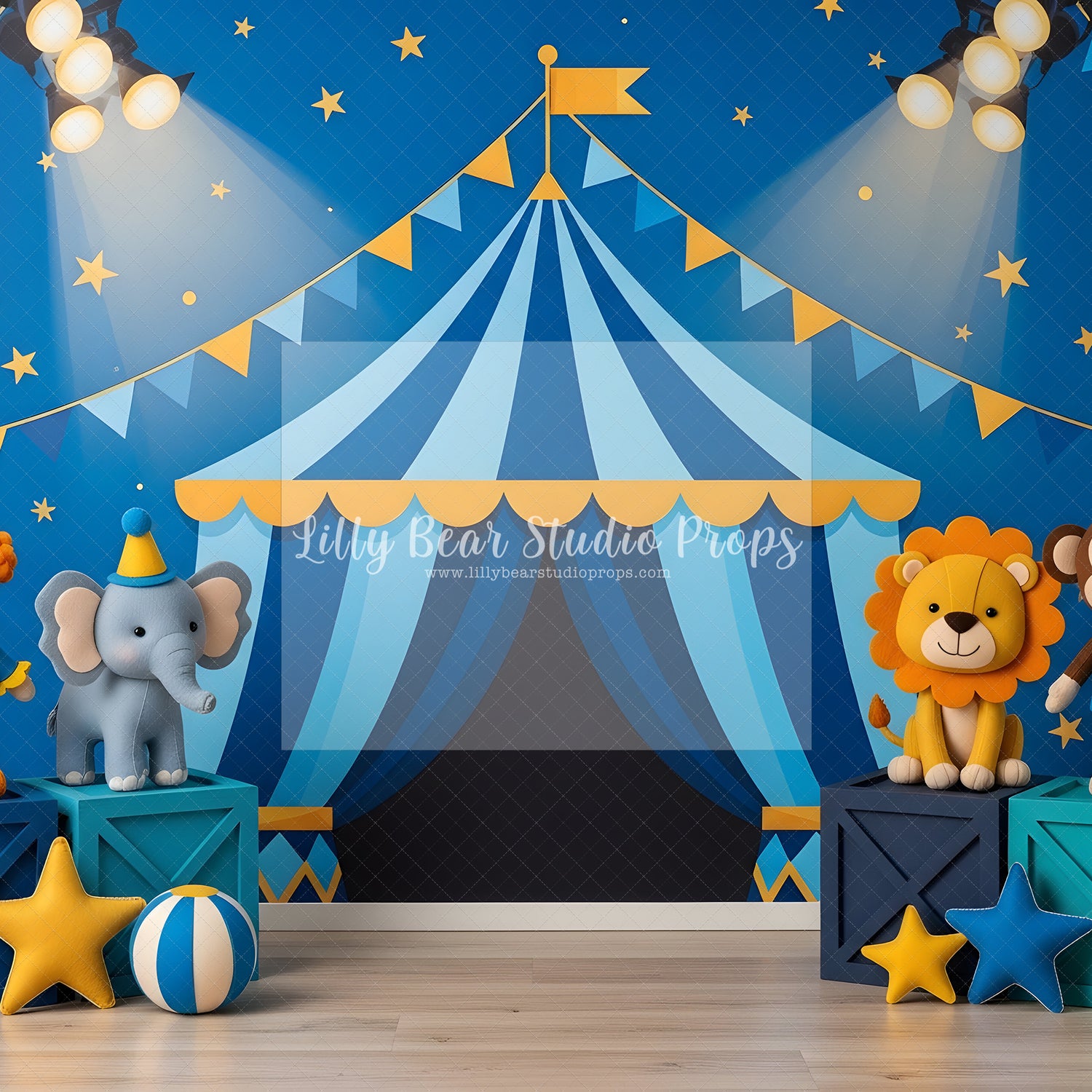 Starlight Circus Show