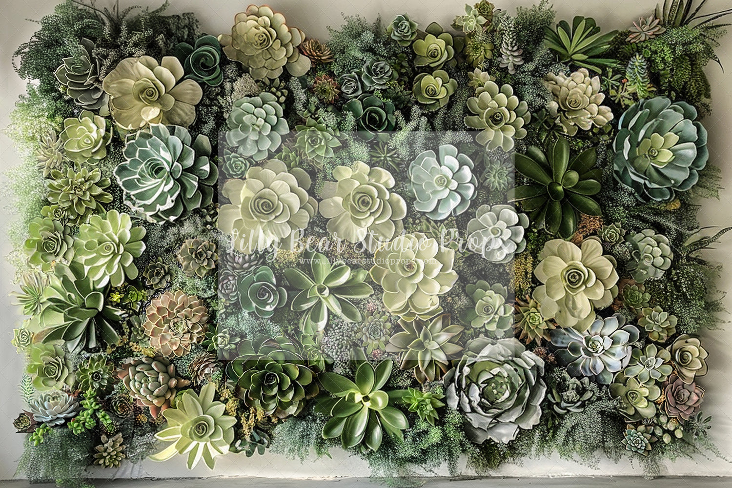 Succulent Wall