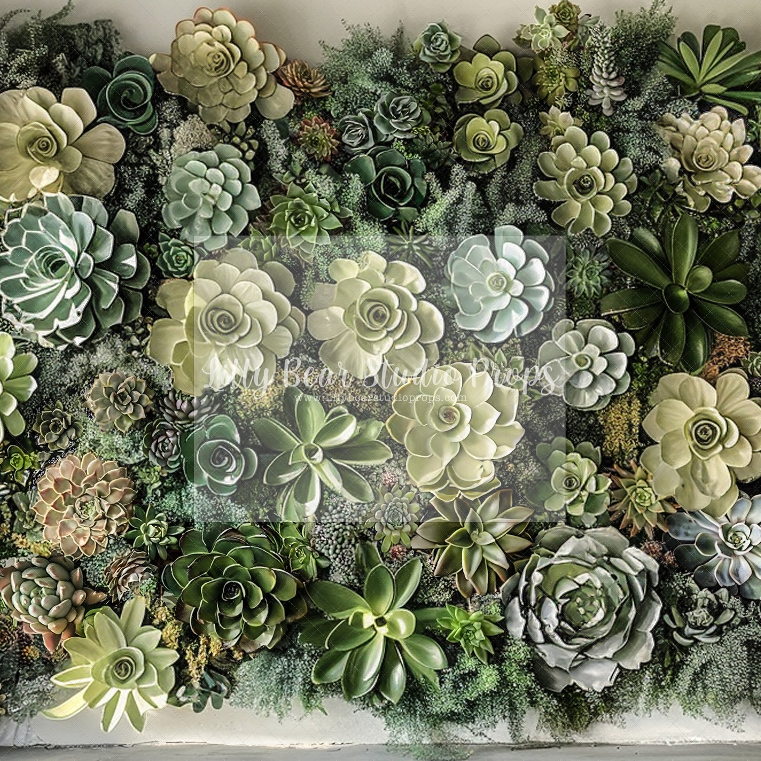 Succulent Wall