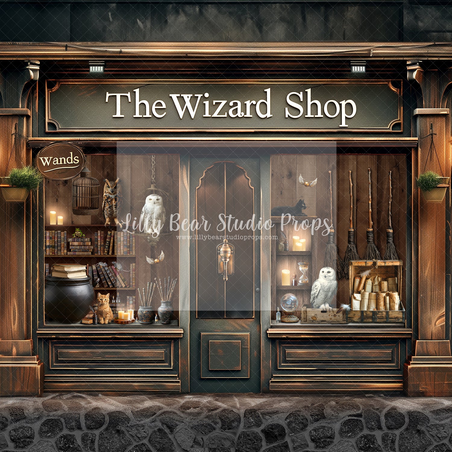 The Wizard Wand Shop