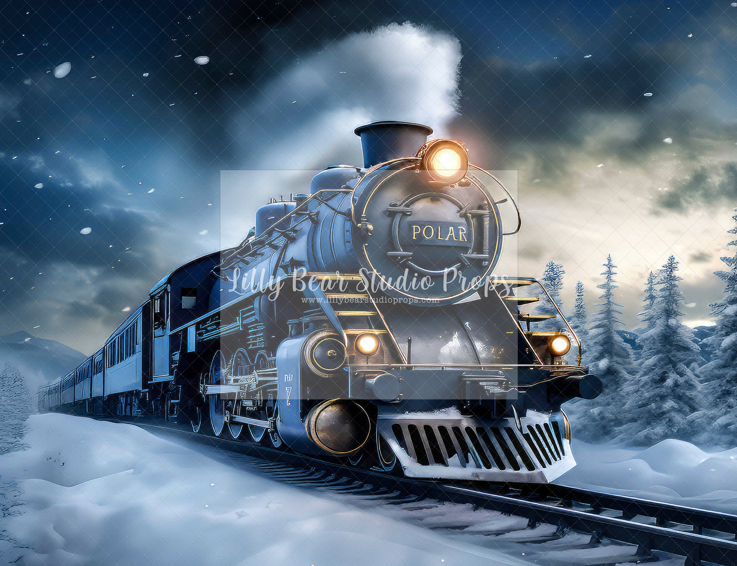 Train to the Polar Station