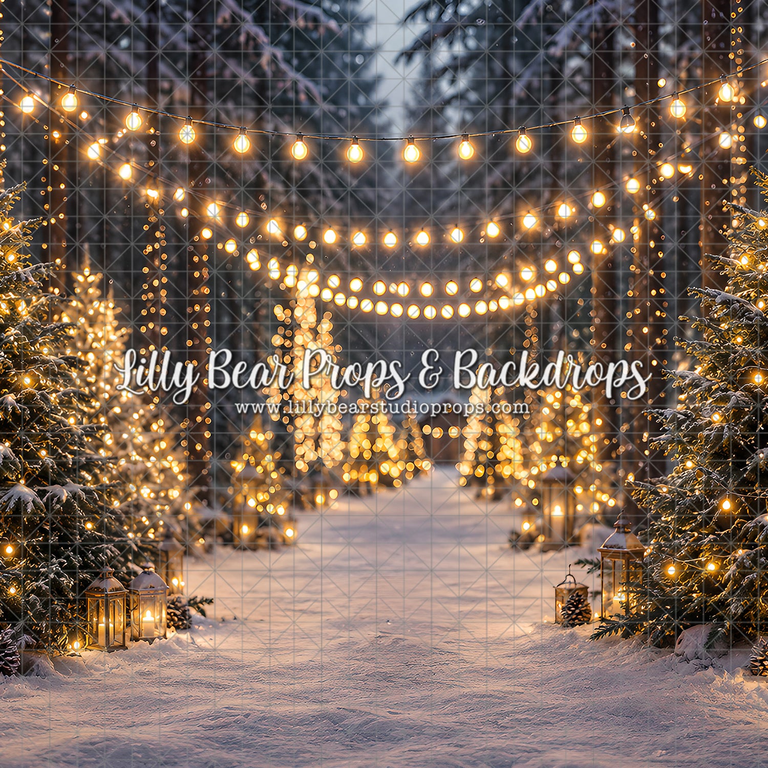 Twinkling Forest Path
