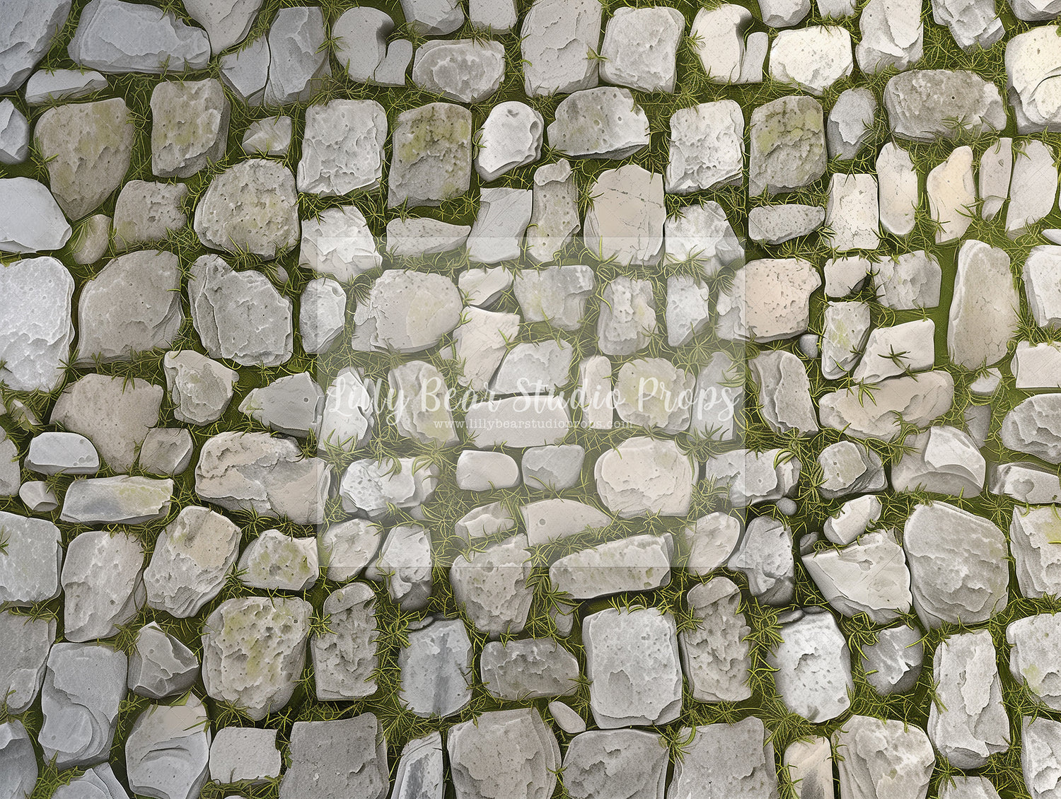 Welcome Stone Path Floor