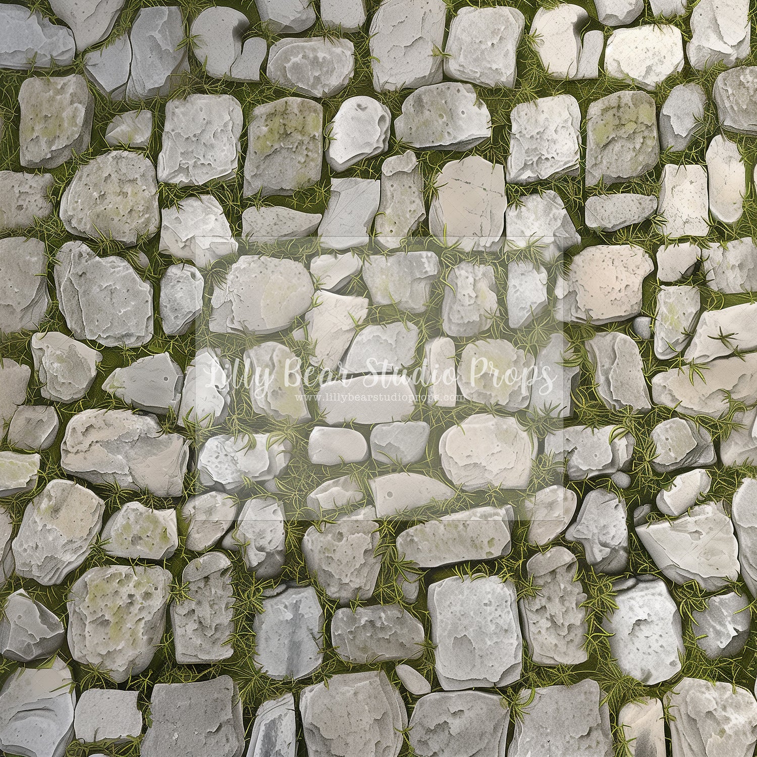 Welcome Stone Path Floor