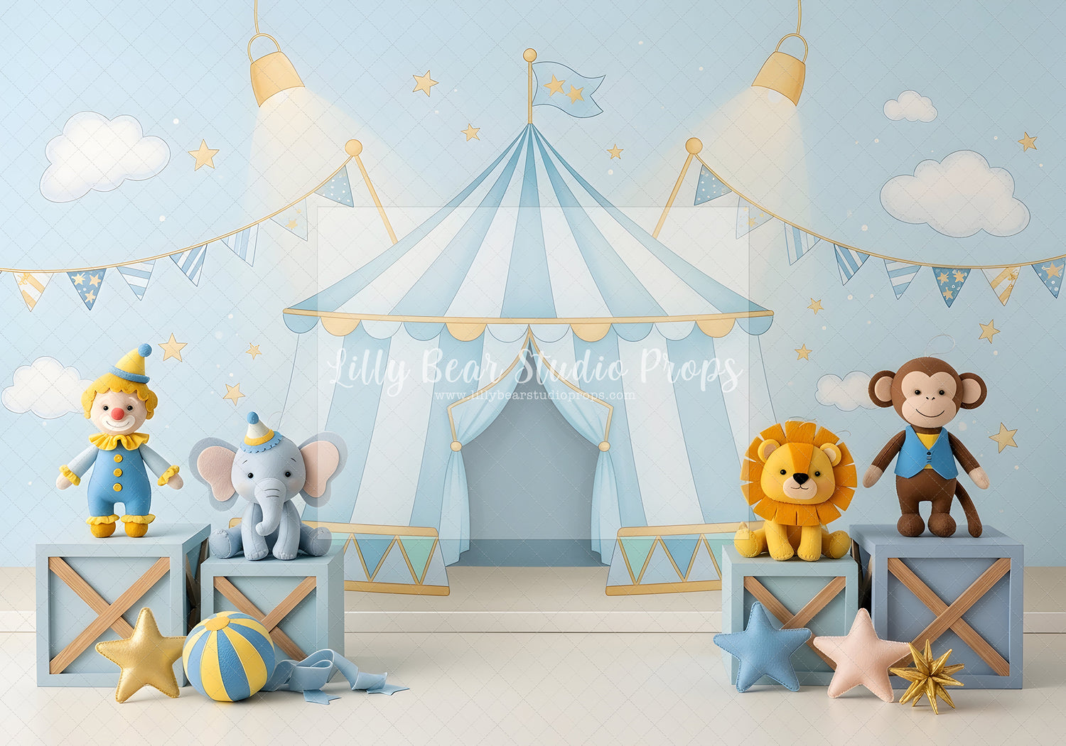 Whimsical Circus Dreams