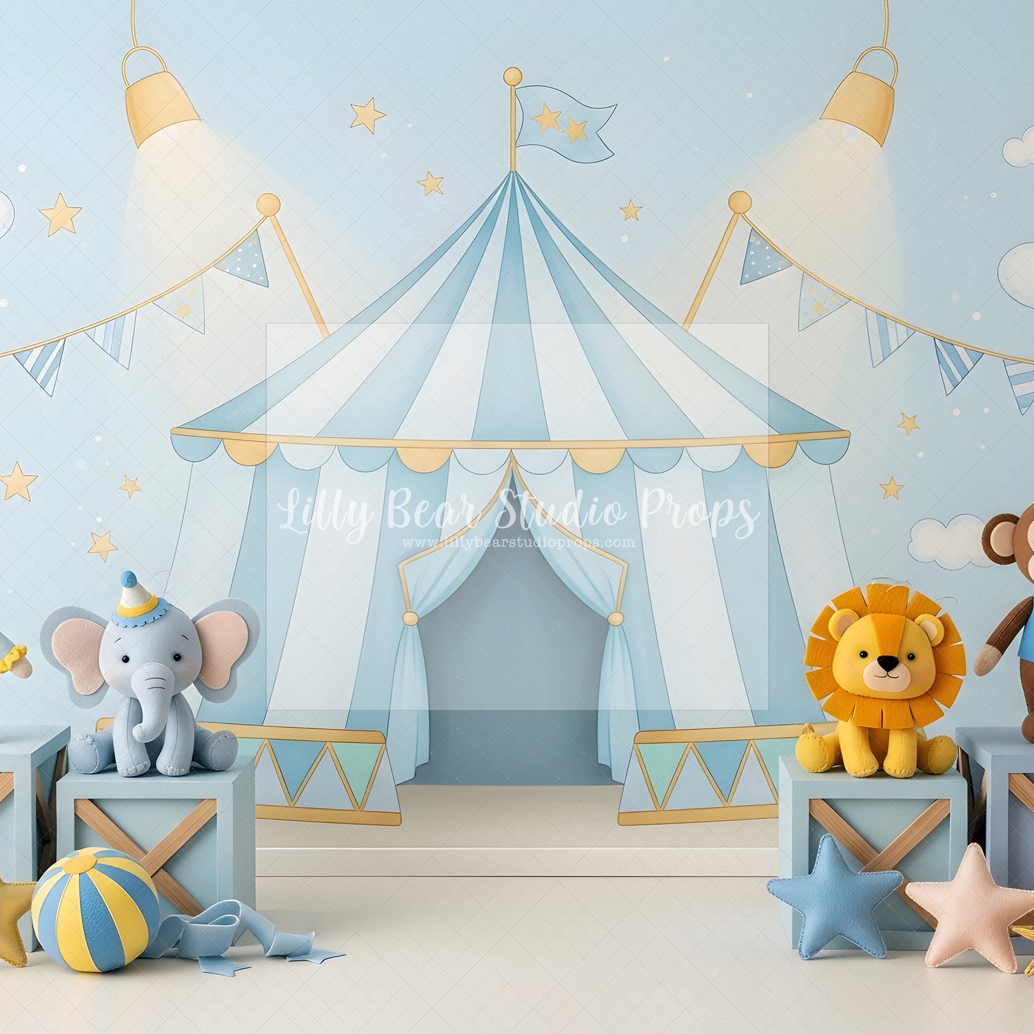 Whimsical Circus Dreams