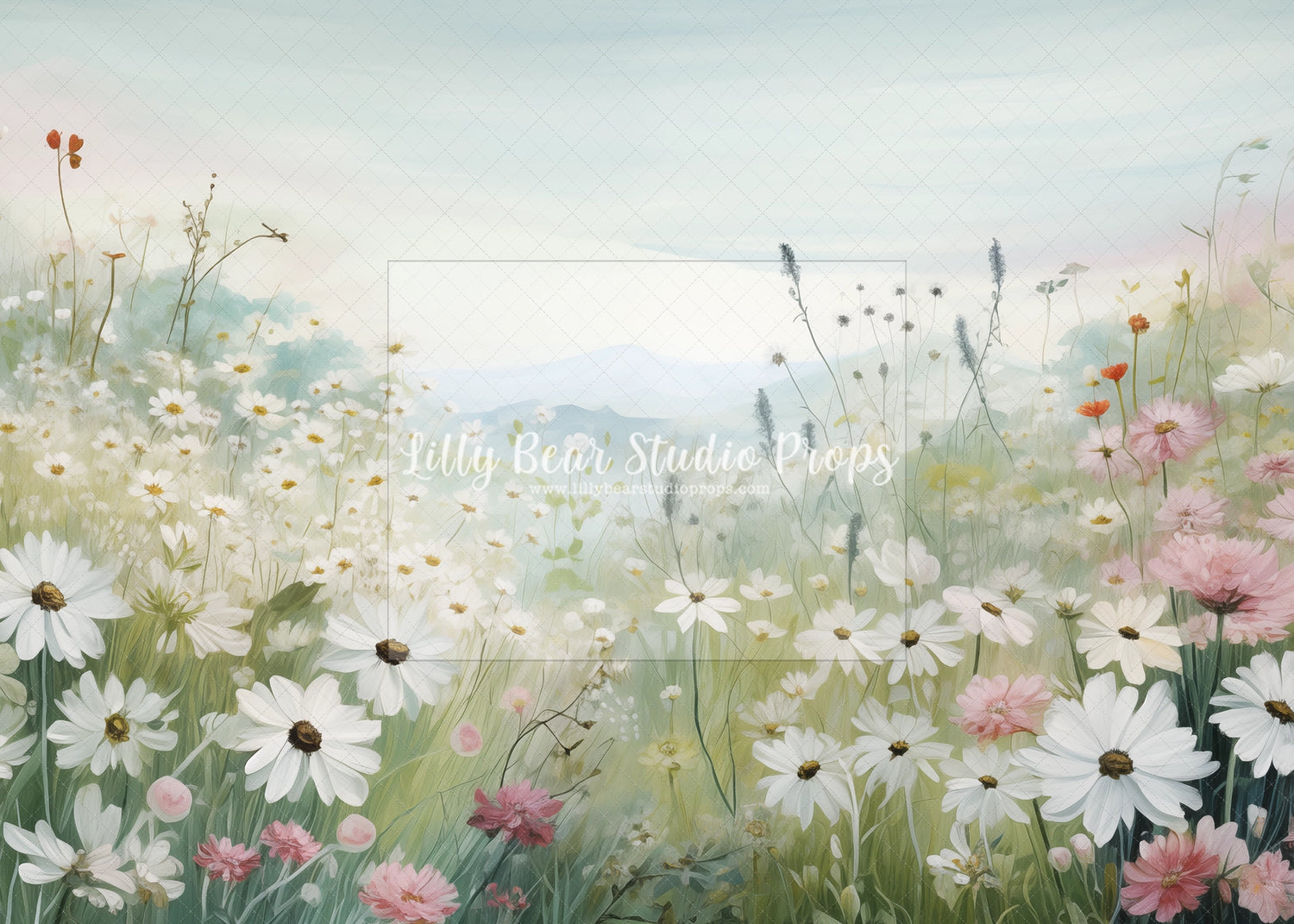 Wild Daisies in the Field