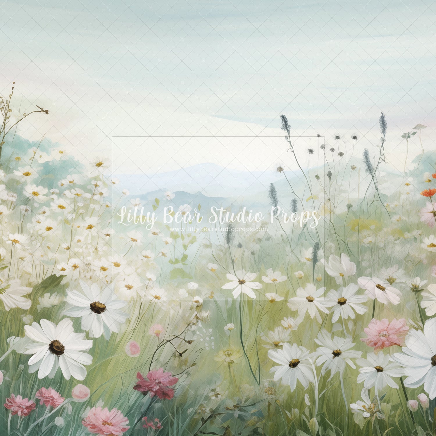 Wild Daisies in the Field