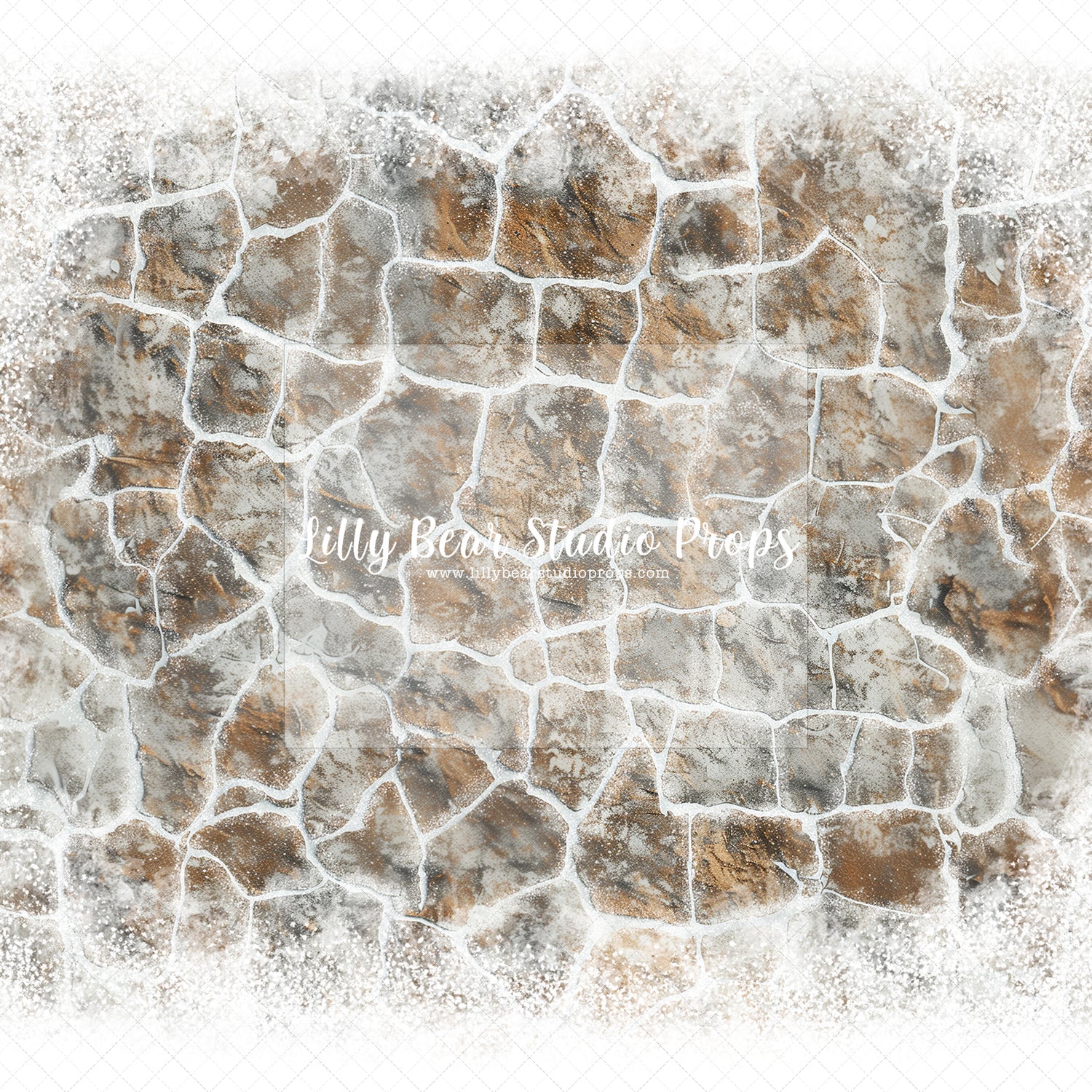 Winter Brown Stone Floor