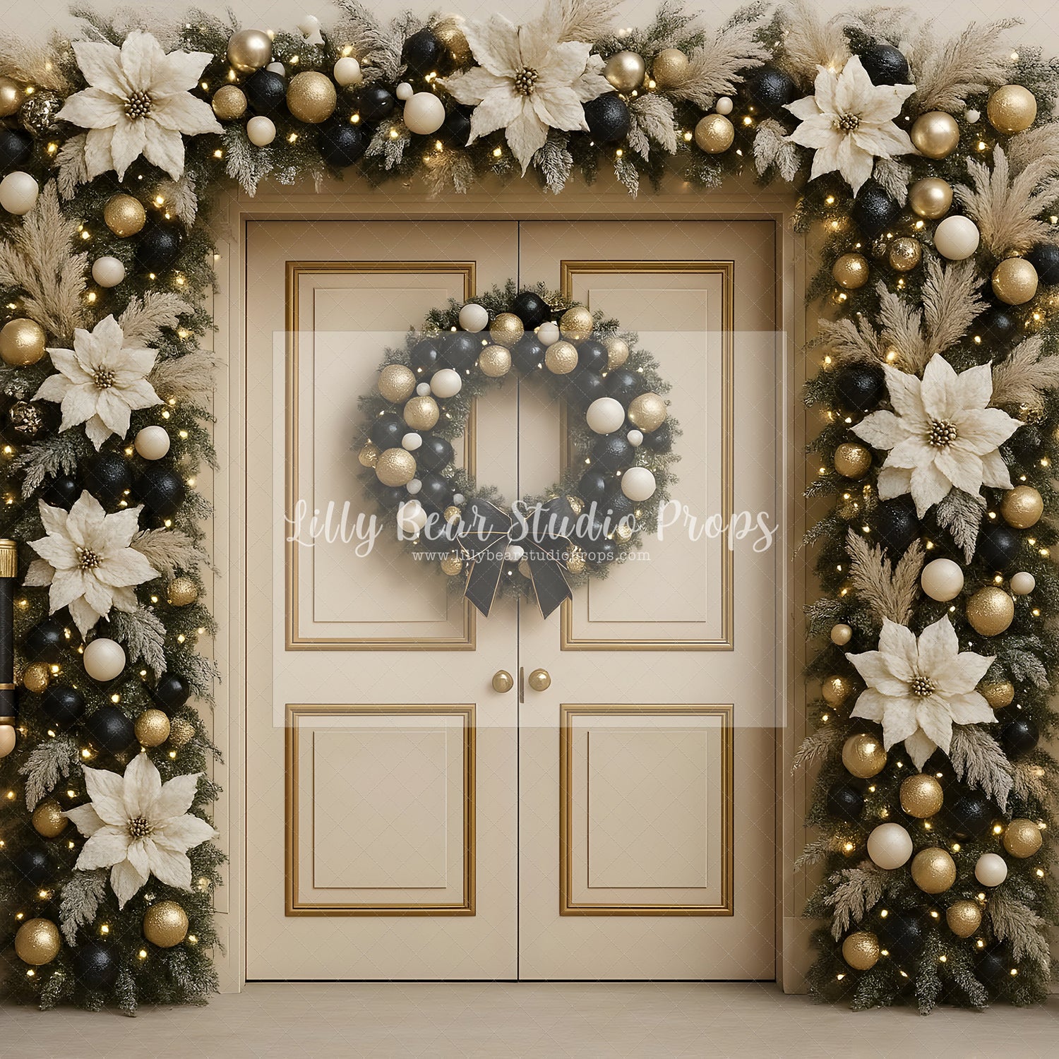 Winter Manor Entry
