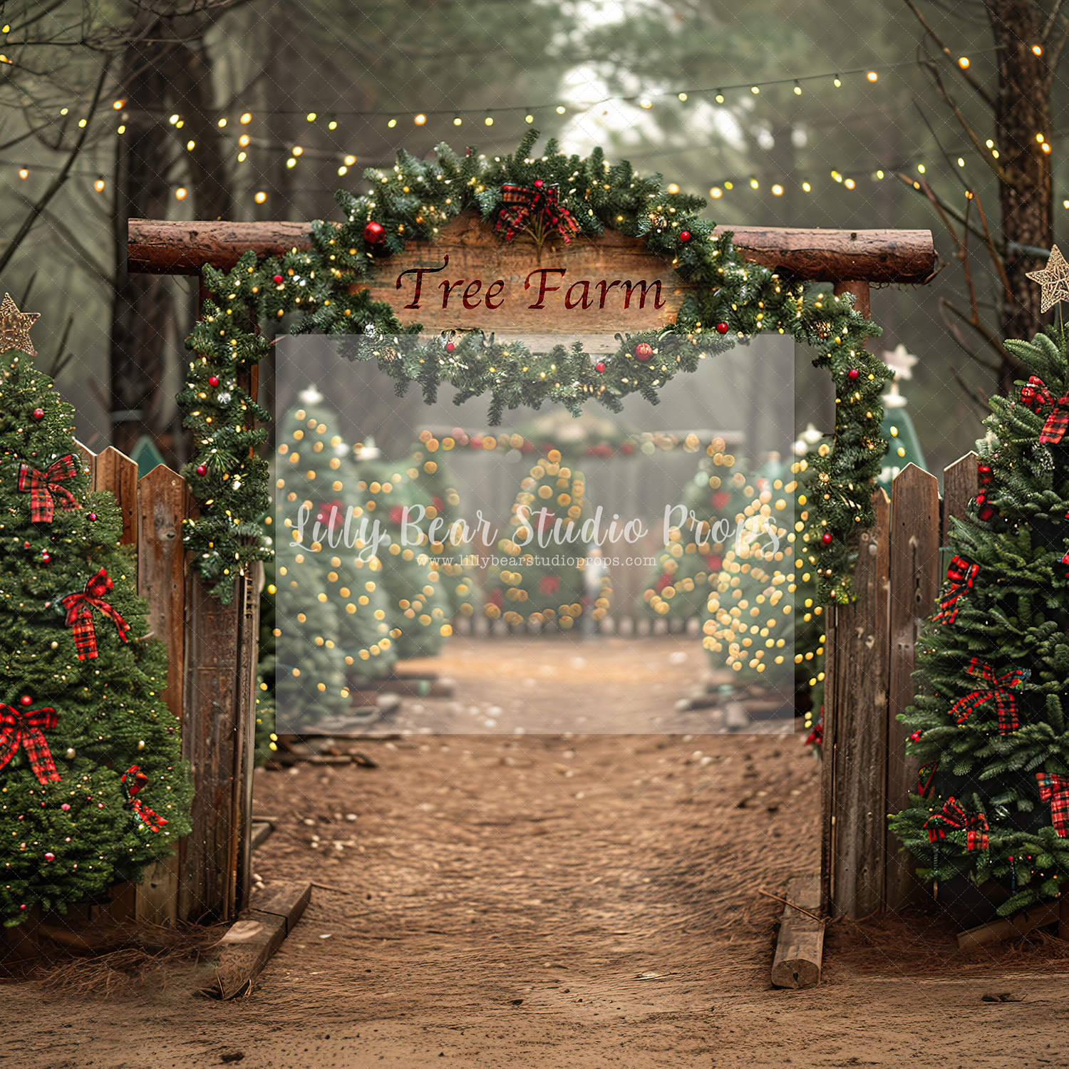 Woodsy Tree Farm