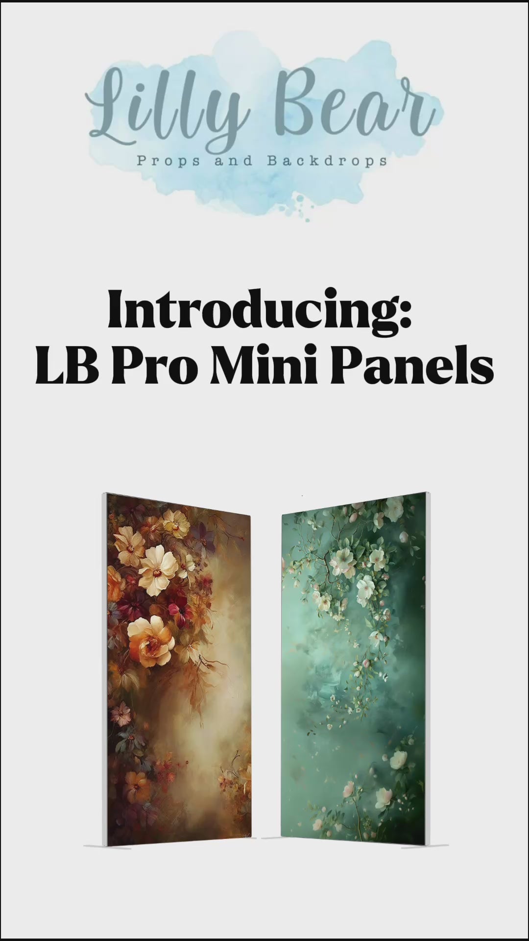 (4) LB Pro MINI 3.25x6.5' Panels & Backdrop BUNDLE (Ready To Ship)