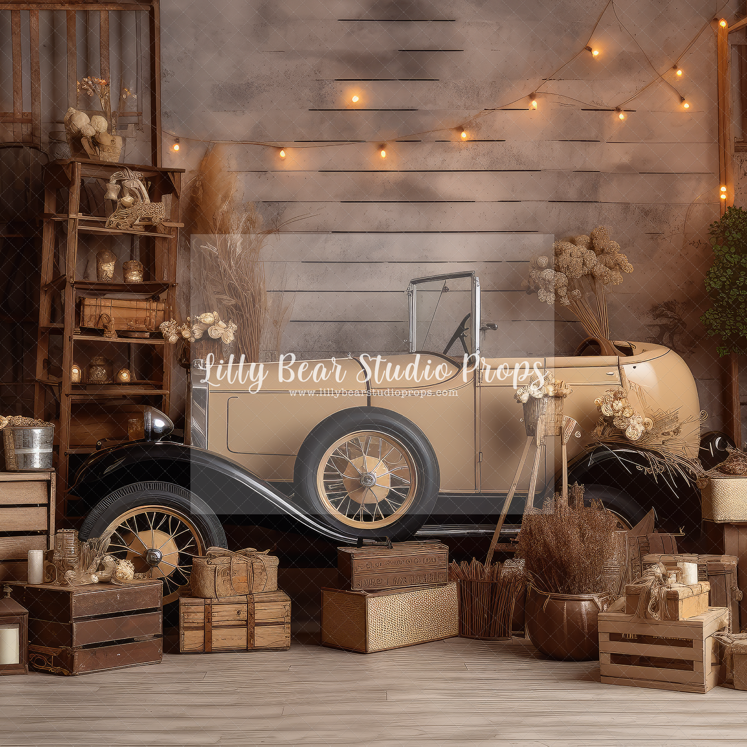 Roy's Garage