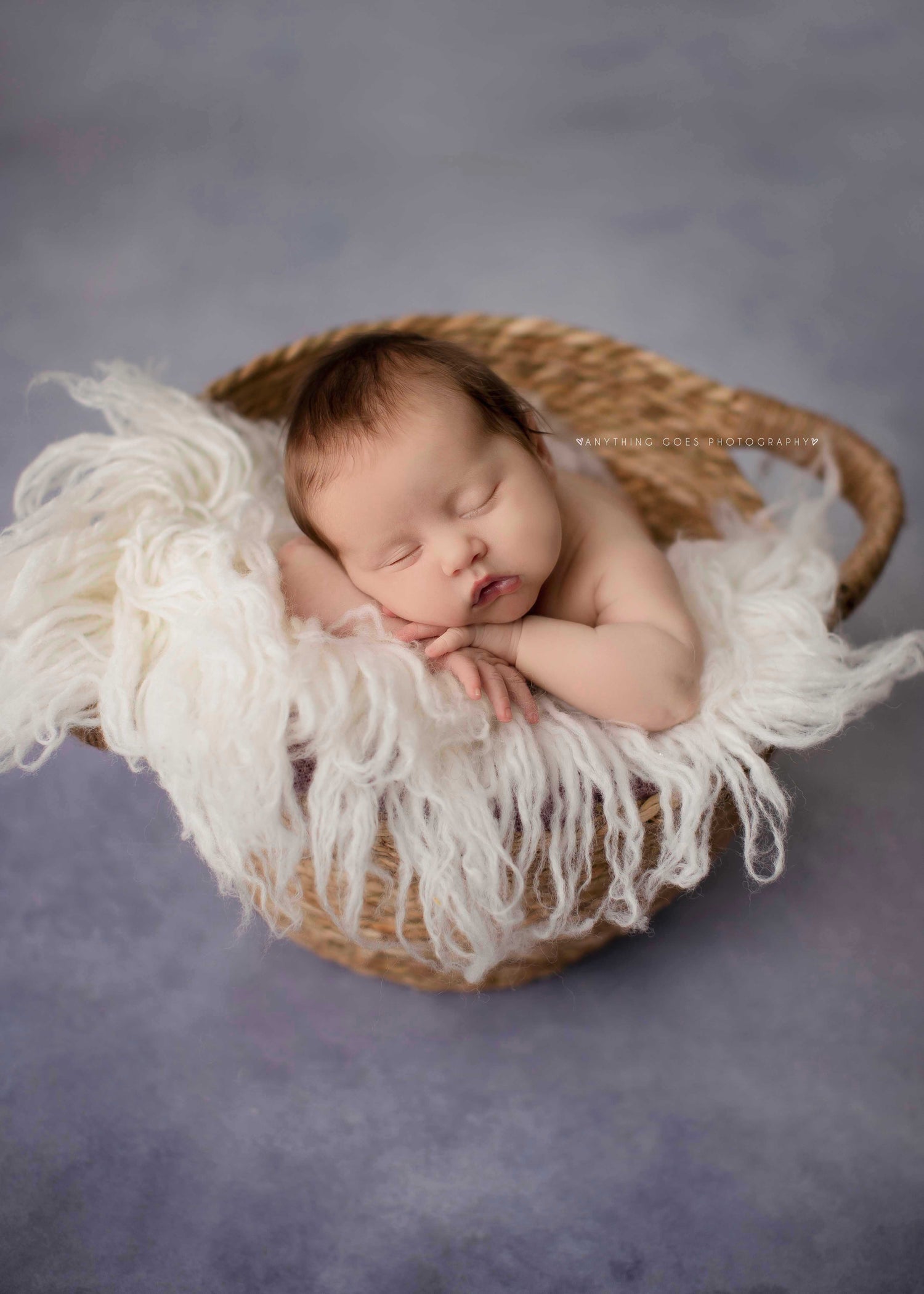 Dahlia by Lilly Bear Studio Props sold by Lilly Bear Studio Props, FABRICS - purple - texture
