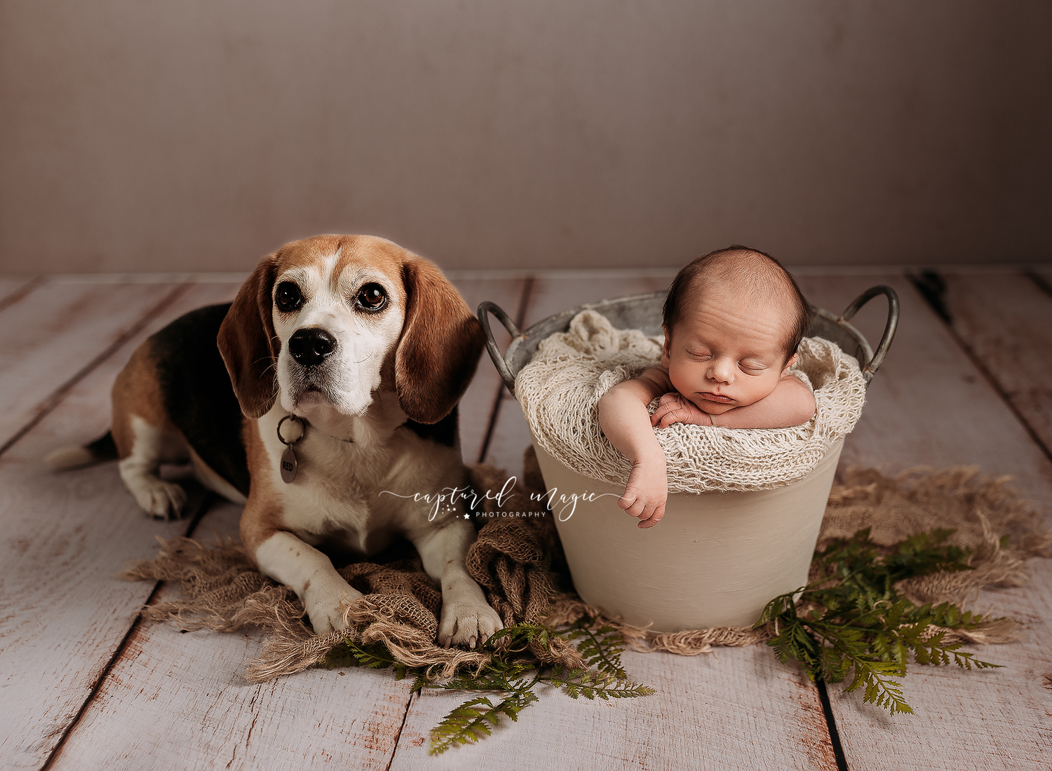 Rachel Vertical Planks Wood Floor by Rachel Demand Photography sold by Lilly Bear Studio Props, dark - dark wood - dark