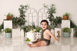 Neutral Ferns and Greens - Lilly Bear Studio Props, baby jungle, daisy, daisy floral, daisy flowers, daisy garden, daisy garland, elephant jungle, eucalyptus, eucalyptus birthday, eucalyptus garden, floral garden, flower vines, garden, garden tea party, hanging eucalyptus, into the jungle, jungle, jungle animals, jungle book, jungle leaves, jungle one, jungle party, jungle safari party, jungle vines, rainforest jungle, spring garden, vines, welcome to the jungle, wild jungle
