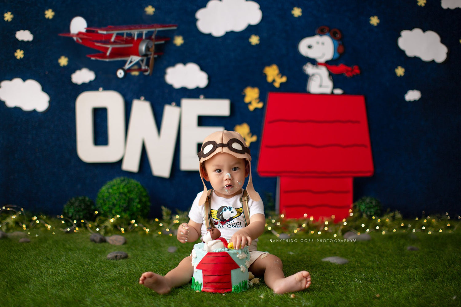 The Dog House by Anything Goes Photography sold by Lilly Bear Studio Props, charlie brown - FABRICS - snoopy - the dog