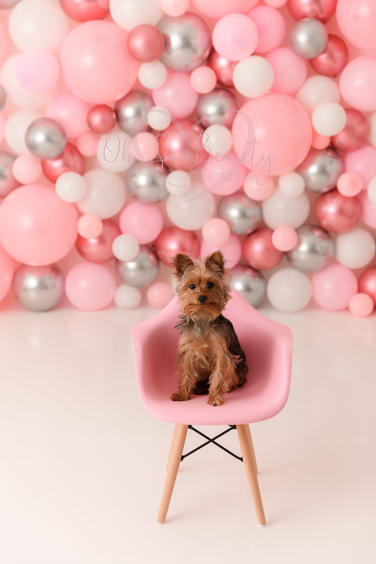 It's My Party by OhSoBeauty Photography sold by Lilly Bear Studio Props, ballerina princess - balloon - balloon arch